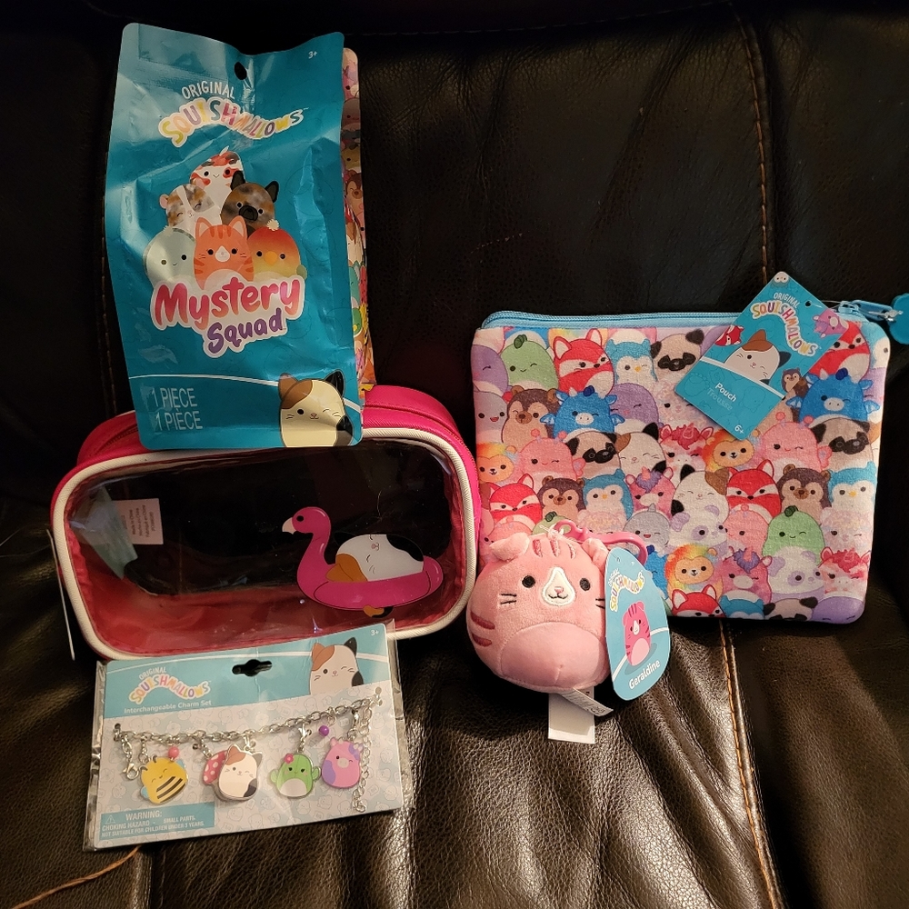Squishmallows Set of 5. Mystery Bag, Pencil Pouches, Cat Clip, Bracelet + 1 Gift